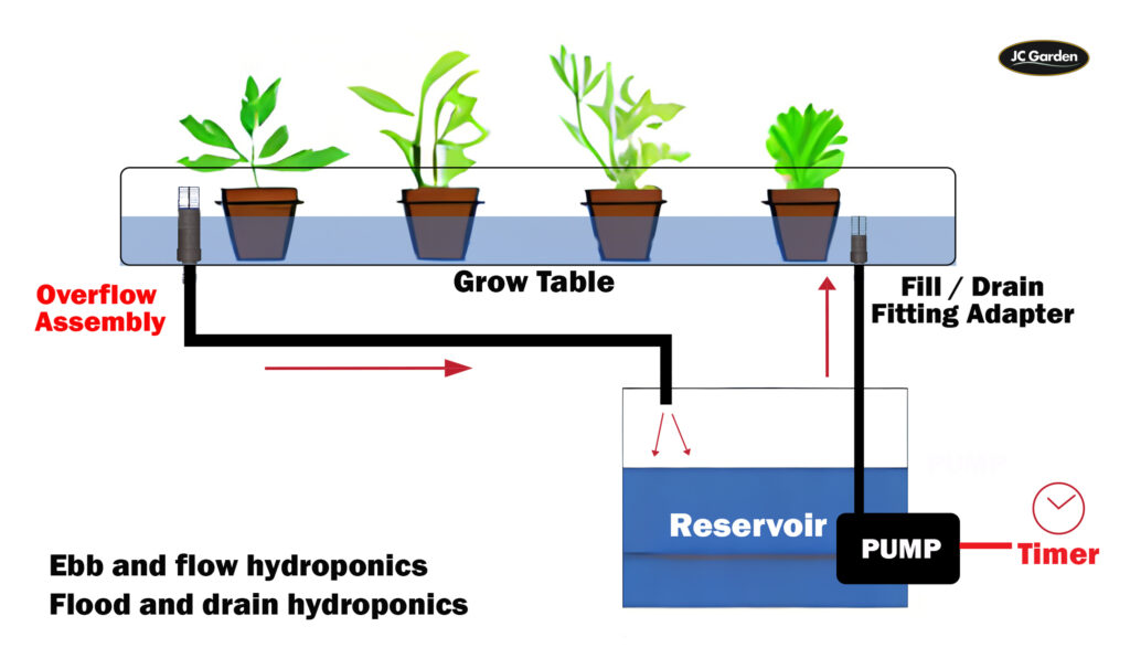 Ebb and Flow Hydroponics or flood and drain hydroponics